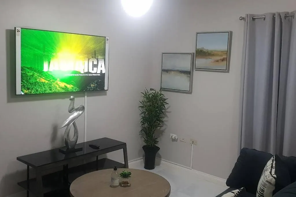 5 Star Fresh Condo In New Κίνγκστον