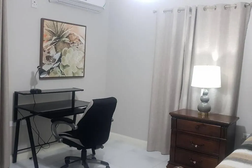 5 Star Fresh Condo In New Κίνγκστον